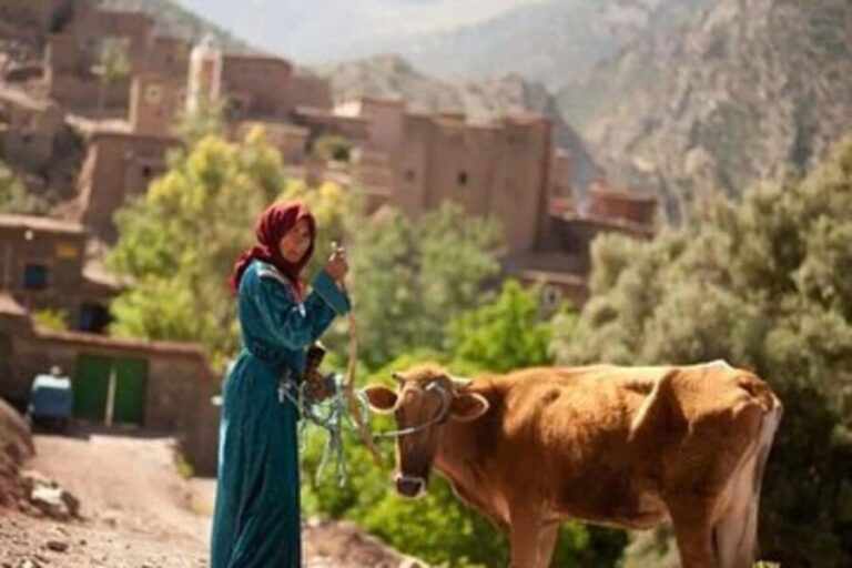 From Marrakech : 3 Day Hike in High Atlas Mountains - Day 1: From Imlil to Tinerhourhine Village