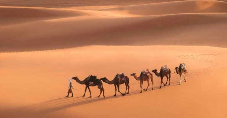 From Marrakech: 3-Day Merzouga and Sahara Desert Tour - What’s Included and What to Keep in Mind