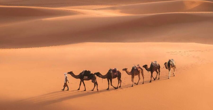 From Marrakech: 3-Day Merzouga and Sahara Desert Tour - What’s Included and What to Keep in Mind