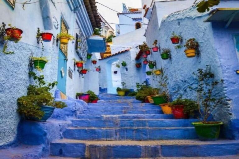 From Marrakech: 3-Day Tour to Fes and Chefchaouen - What Makes This Tour Stand Out