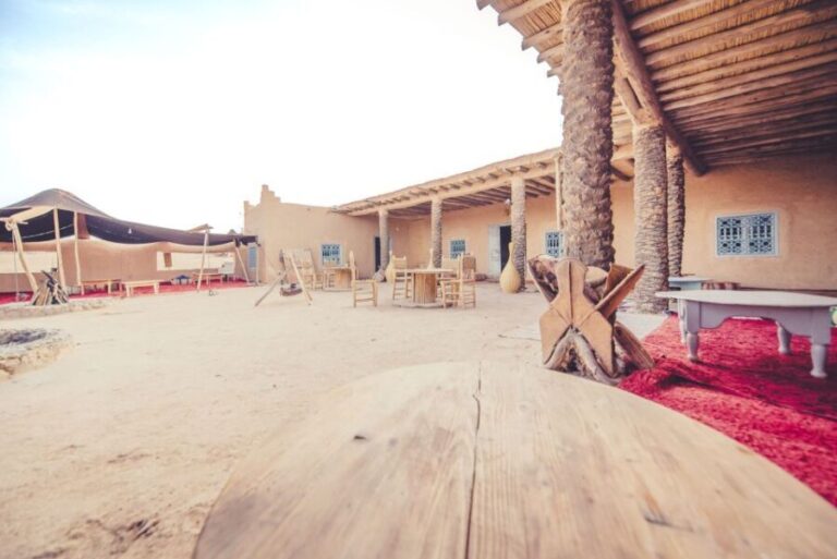 From Marrakech: Agafay Desert Camel Ride and Dinner and Show - What to Expect from the Agafay Desert Camel Ride and Dinner Tour