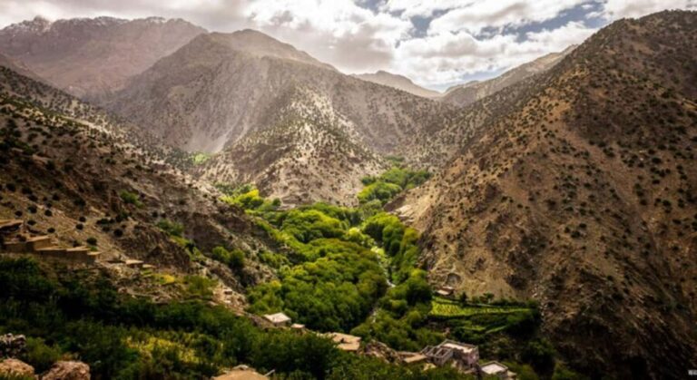 From Marrakech: Asni and Imlil Private Day Trip - The Reality of the Experience: What Travelers Say
