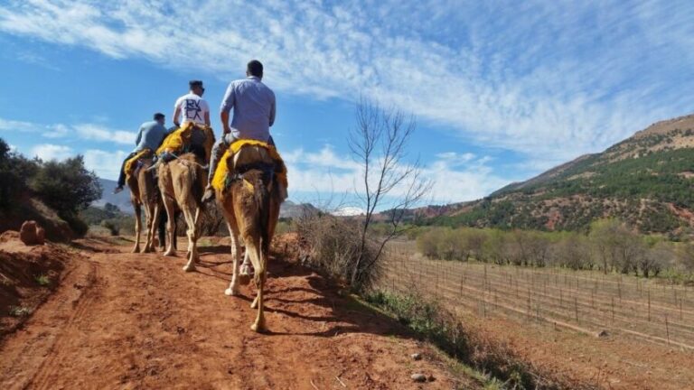 From Marrakech: Atlas Mountains 45-Minute Horseback Ride - What to Expect on the Tour