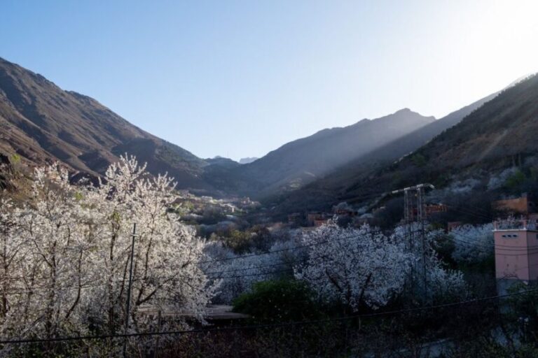 From Marrakech: Family/Friends Day Trip To Atlas Mountains - Cultural and Scenic Highlights