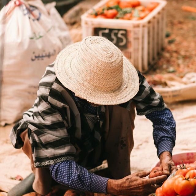 From Marrakech: Ouirgane Day Trip with Traditional Lunch - Why This Tour Works