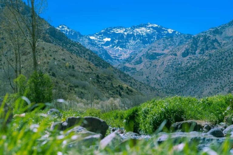 From Marrakech: Ourika Valley and Setti Fatma Day Trip - Berber Culture and Traditional Villages