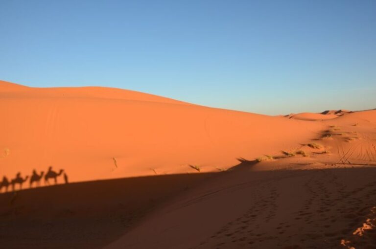 From Marrakech: Private 3-Day Sahara to Merzouga Tour - Who Will Love This Tour?