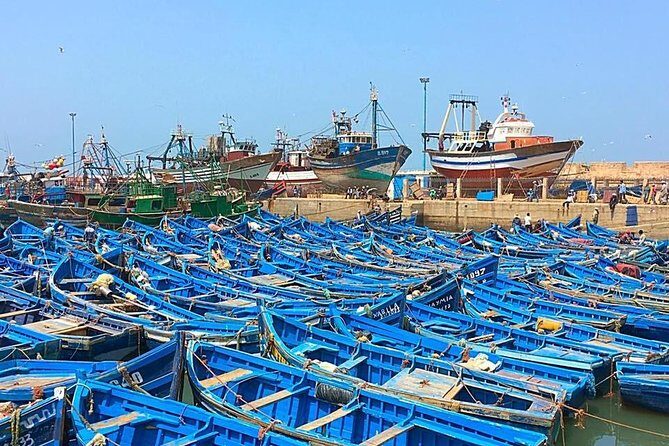 From Marrakech To Essaouira Mogador Full Day Trip | Small-group - Authenticity and Experience