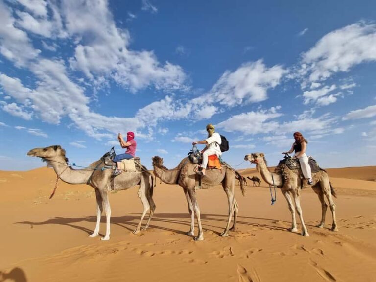 From Marrakech to Merzouga Erg Chebbi: 4-Day Desert Tour - Transport, Accommodation, and Value