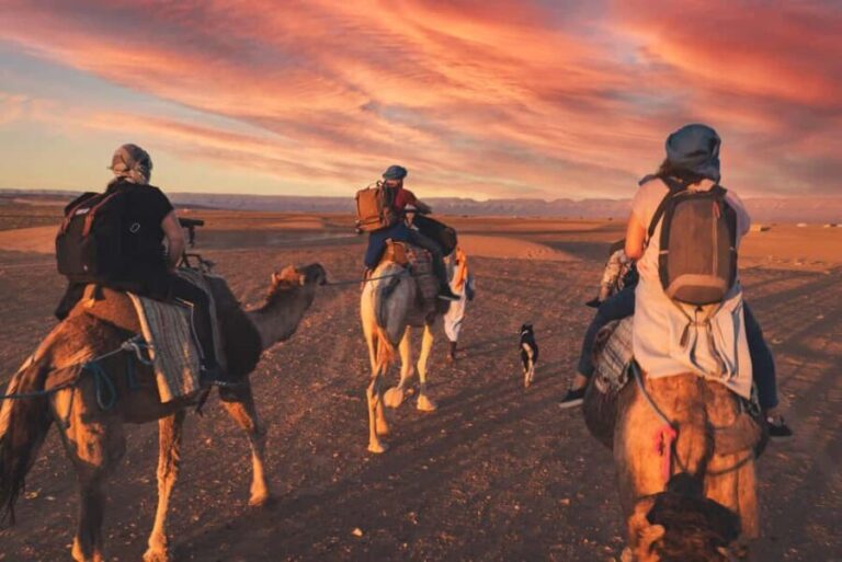From Marrakech: Zagora 2-Day Desert Safari with Food & Camp - What Makes This Tour Stand Out