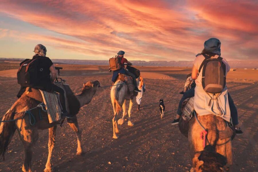 From Marrakech: Zagora 2-Day Desert Safari with Food & Camp - What Makes This Tour Stand Out
