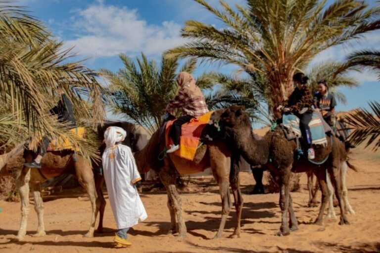 From Marrakech:4 Days 3 Nights Desert Tour back to Marrakech - What’s Included and What’s Not