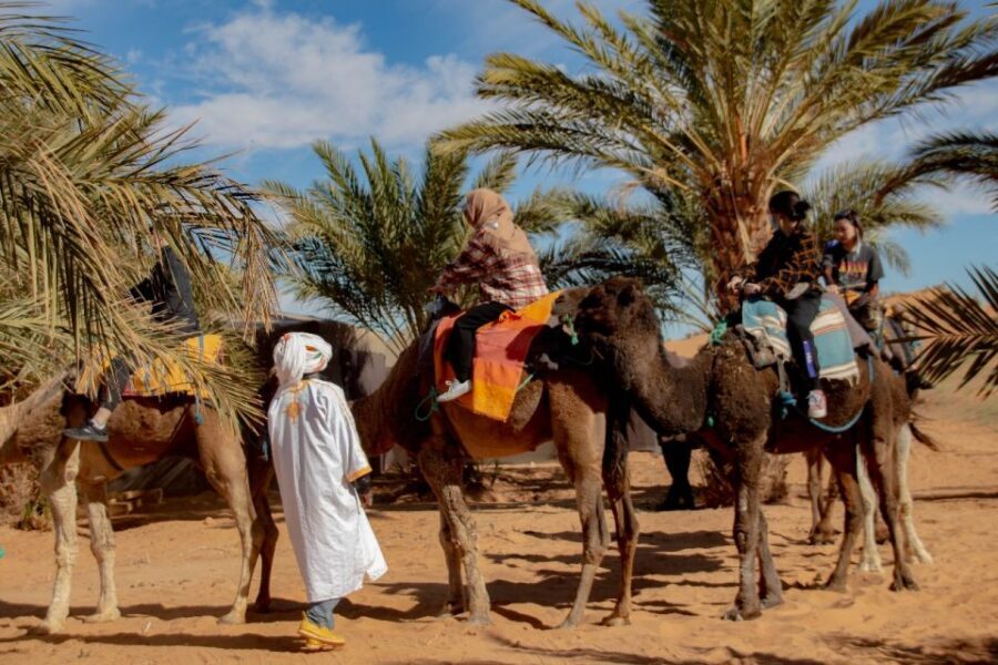 From Marrakech:4 Days 3 Nights Desert Tour back to Marrakech - What’s Included and What’s Not