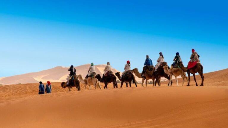From Marrakesh: 3-Days Erg Chegaga Désert Tours - What to Expect from the Transport & Comfort