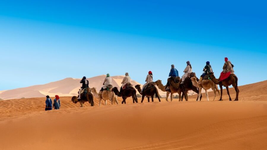 From Marrakesh: 3-Days Erg Chegaga Désert Tours - What to Expect from the Transport & Comfort