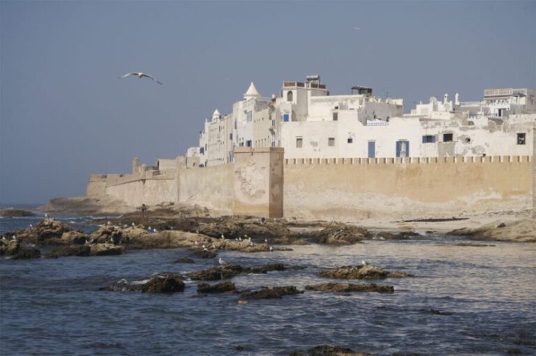 From Marrakesh: Essaouira Full-Day Trip - Analyzing the Value and Practicalities