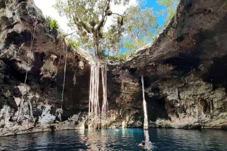 From Merida: 3 Cenotes - What Makes Each Cenote Special?