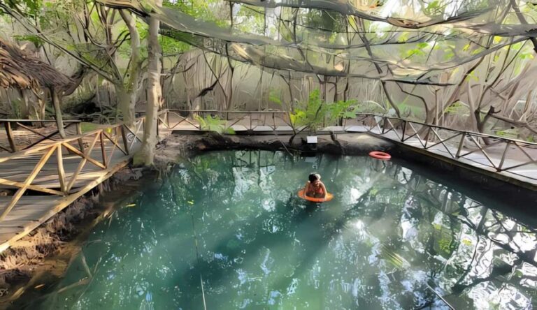 From Merida: Beach, Mangrove and something more - Practical Details That Matter