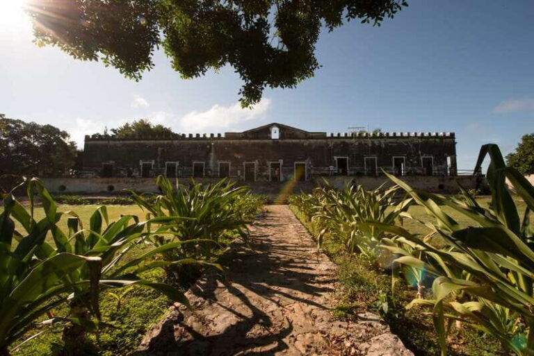 From Merida: Uxmal, Hacienda Yaxcopoil and Cenote with Lunch - Practical Tips and What to Expect
