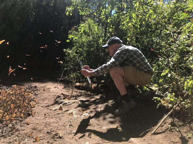 From Mexico City: 7-Day Monarch Butterfly Tour - Detailed Itinerary Breakdown
