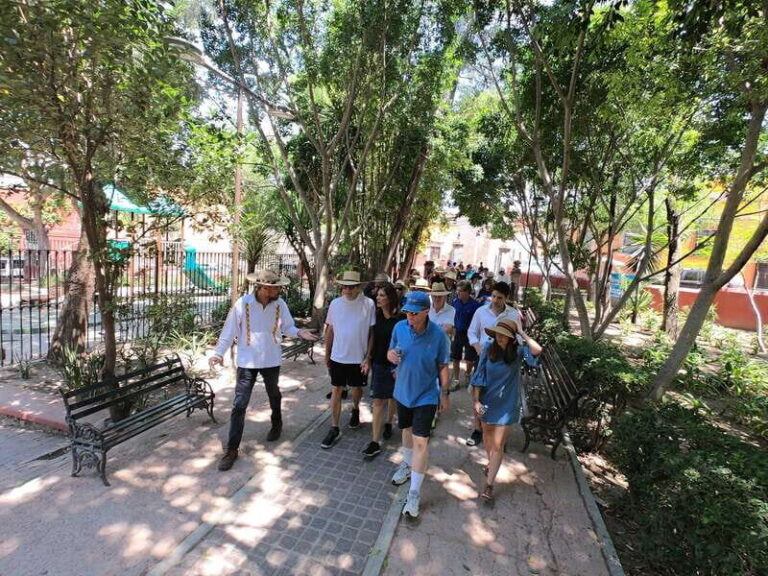 From Mexico City: Colonial San Miguel de Allende Day Tour - What You’ll Experience