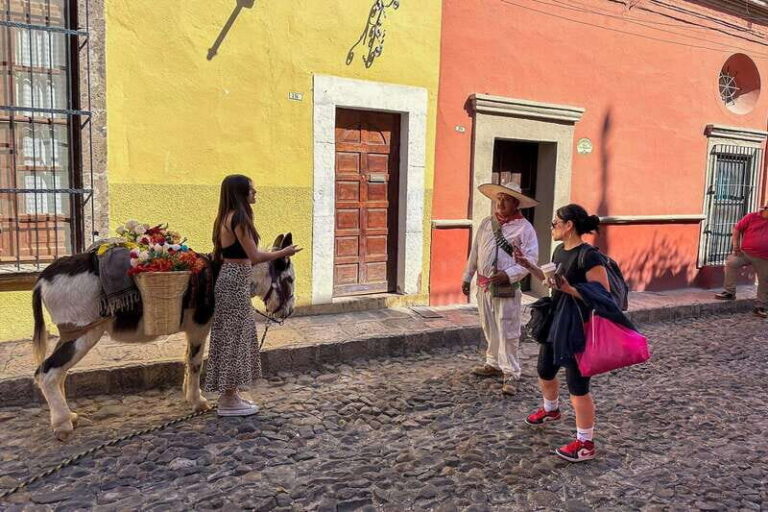 From Mexico City: San Miguel de Allende Day Trip - Practical Details and What to Expect