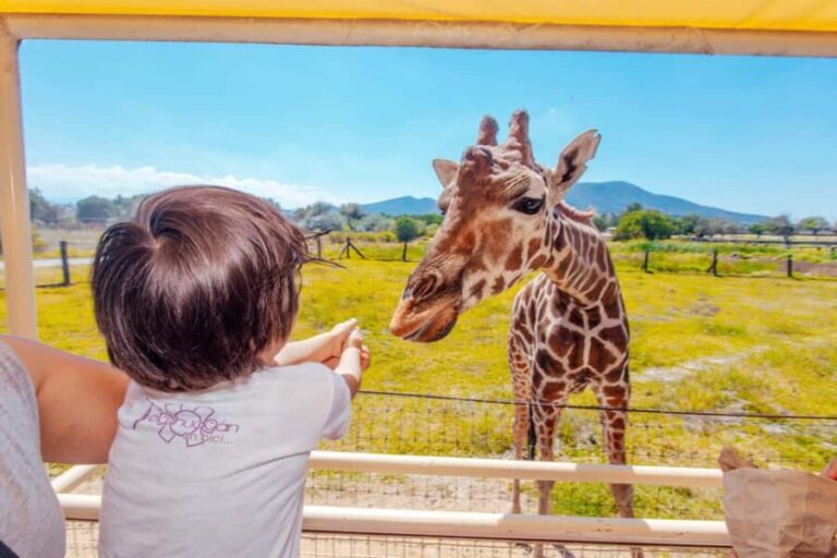 From Mexico City: Teotihuacan Tour & Reino Animal For Kids - Who Will Love This Tour?