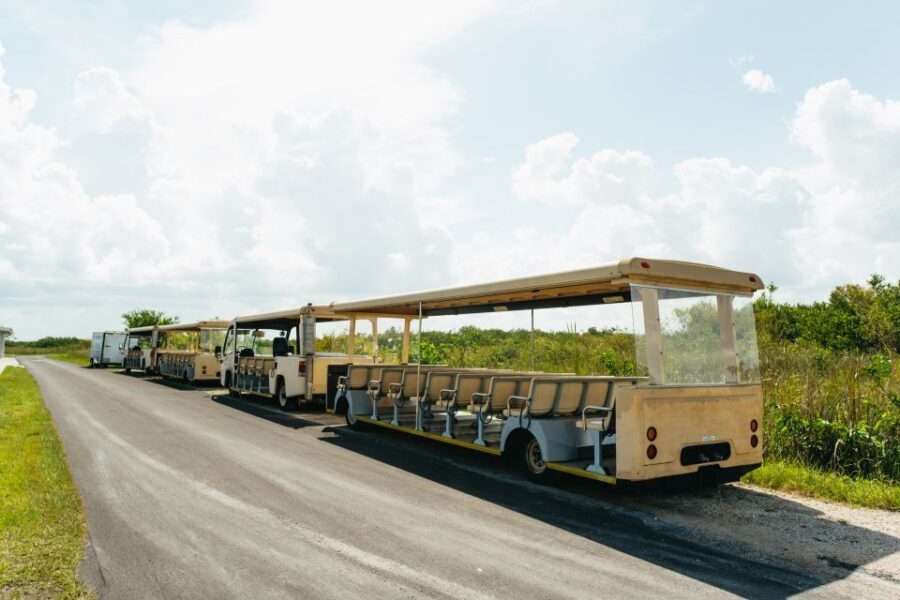 From Miami: Everglades Airboat Ride and Nature Walk - Analyzing the Value: Is It Worth It?