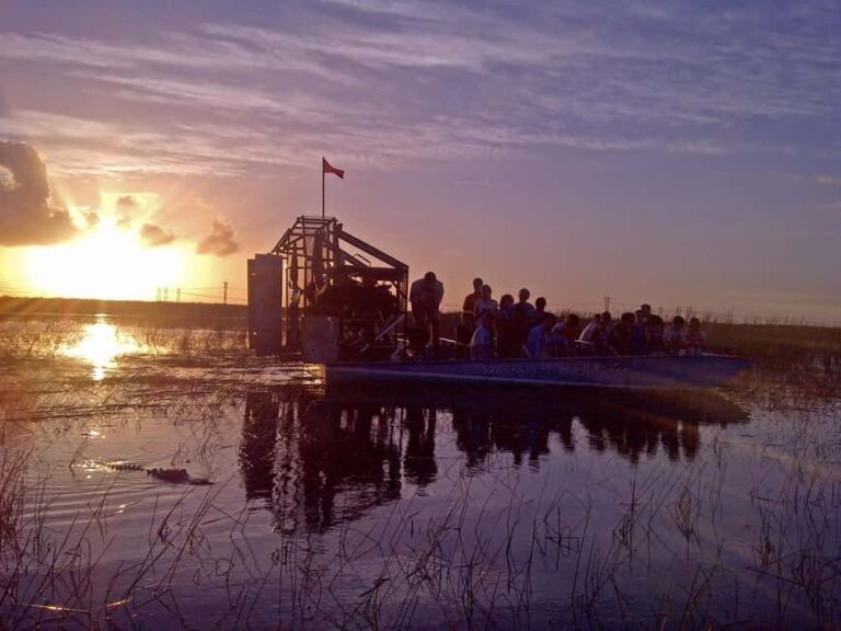 From Miami: Everglades at Night with Guided Airboat Tour - The Sum Up