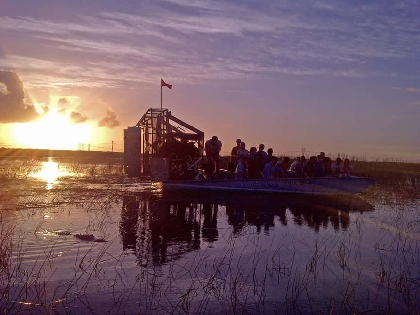 From Miami: Everglades at Night with Guided Airboat Tour - The Sum Up