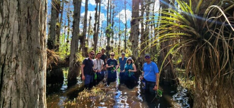 From Miami: Everglades Tour w/ Wet Walk, Boat Trips, & Lunch - Practical Details and Value