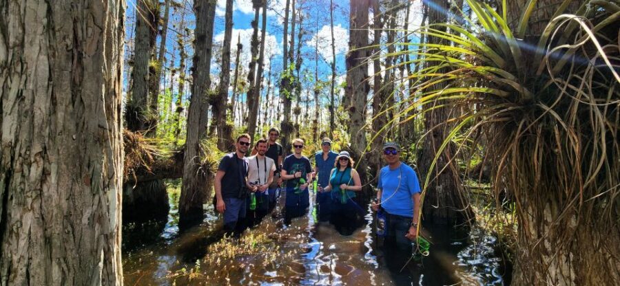 From Miami: Everglades Tour w/ Wet Walk, Boat Trips, & Lunch - Practical Details and Value