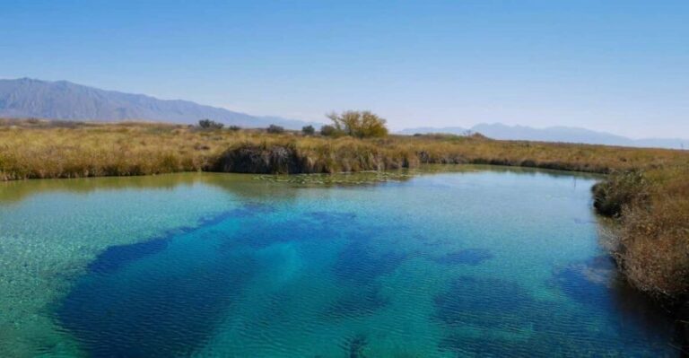 From Monterrey: Tour a Cuatro Ciénegas one day tour - Final thoughts: Who will enjoy this tour?