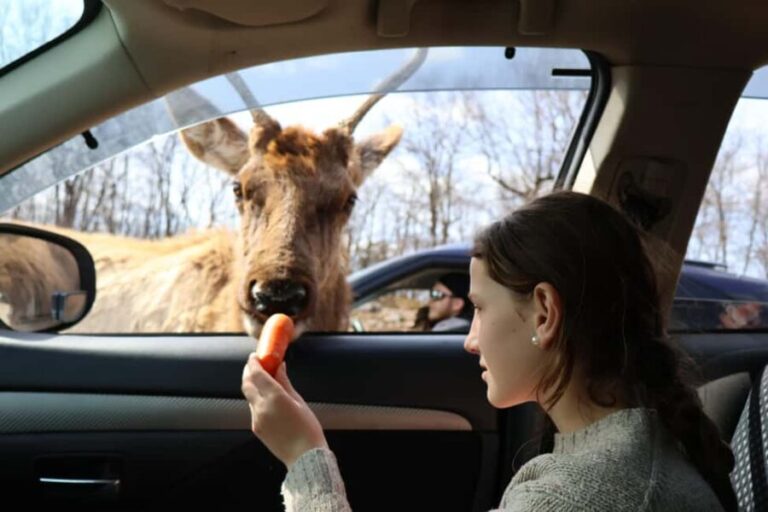 From Montreal: Omega Park Wildlife Safari Calling Sounds - The Personal Touch of a Private Guide