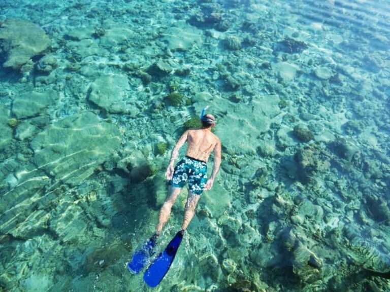 From Muscat: Snorkeling Trip (Dimaniyat Island trip) - In The Sum Up