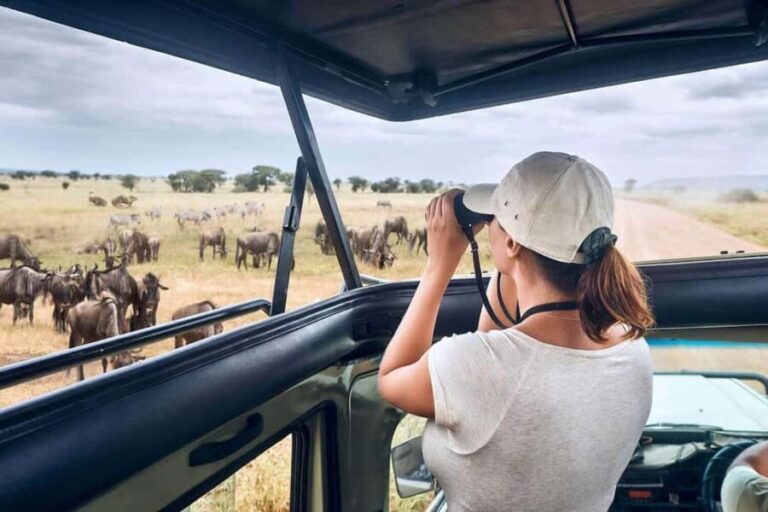 From Nairobi: 10 Days Classic Kenya and Tanzania on 4x4 Jeep - What You Can Expect: Daily Highlights and Practical Tips
