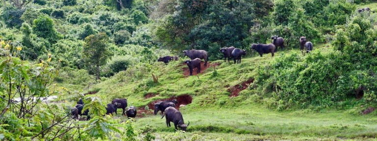 From Nairobi: 5-Day Central Kenya Eco-Tour Experience - Practical Tips for Travelers