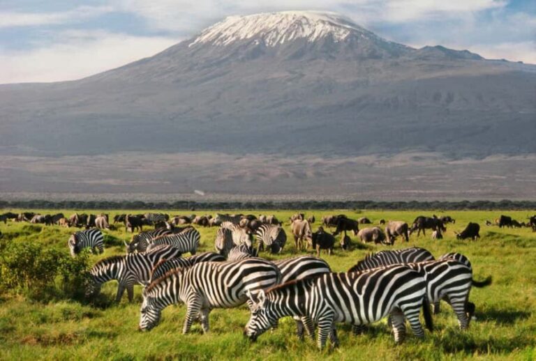 From Nairobi: 9-Day Kenya Safari with Accommodation - What Makes This Safari Valuable?