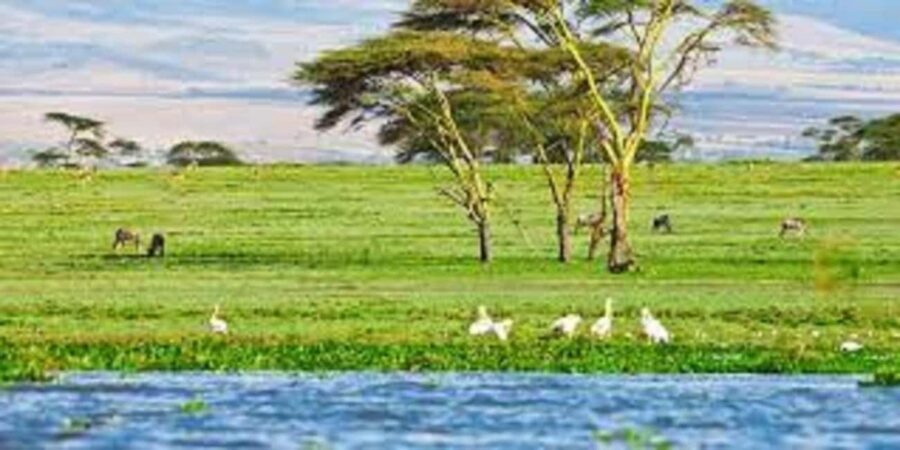 From Nairobi: Day Trip to Hells gate and Lake Naivasha - FAQ