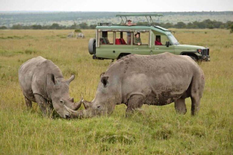 From Nairobi: Overnight Ol Pejeta Conservancy Safari - What’s Included & What’s Not: Making the Most of Your Budget