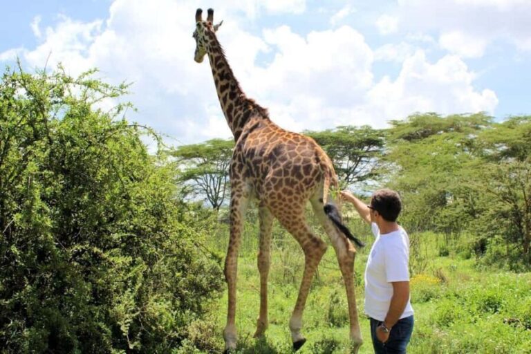 From Nairobi: Trip to Mount Longonot National Park - Final Thoughts