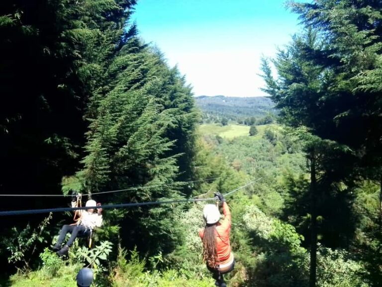 From Nairobi: Zipline Adventure Safari - What’s Included and What’s Not?