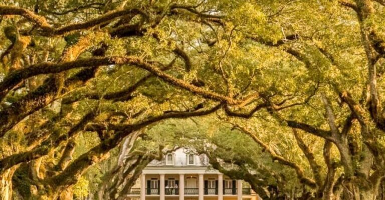 From New Orleans: Oak Alley Plantation Tour - Assessing the Value