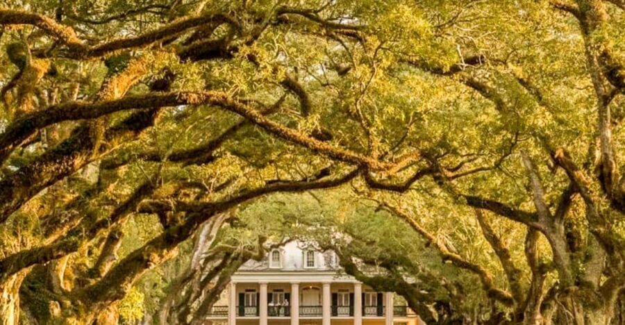 From New Orleans: Oak Alley Plantation Tour - Assessing the Value