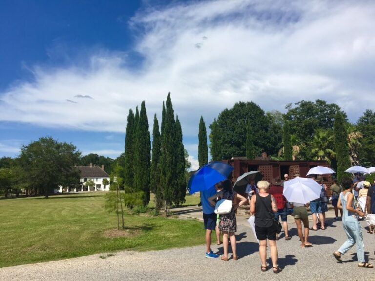 From New Orleans: Whitney and Laura Guided Plantation Tour - Who Will Love This Tour?