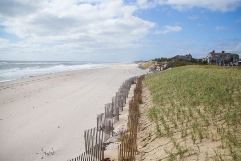 From NYC: Hamptons, Sag Harbor, and Outlet Shopping Day Trip - Why This Tour Works for Travelers