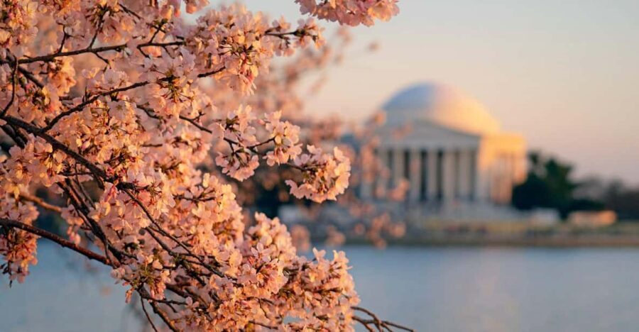 From NYC: Niagara Falls, Washington DC and Boston 4-Day Trip