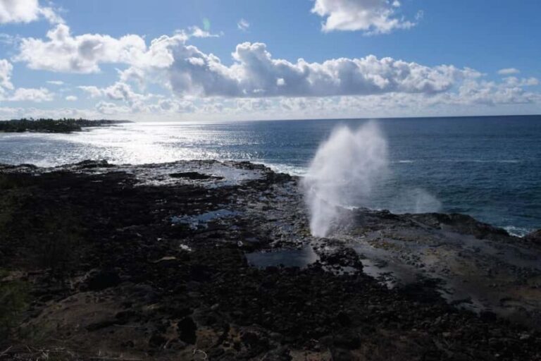 From Oahu: Kauai Waimea Canyon and Koke'e Adventure Tour - Analyzing the Value