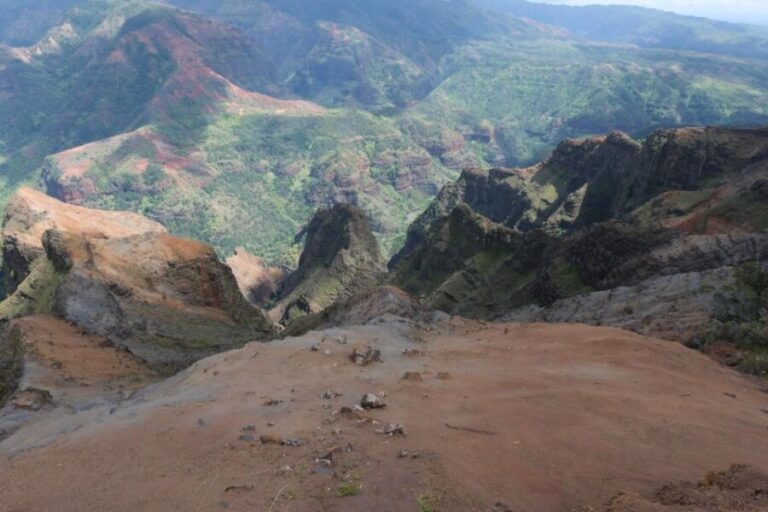 From Oahu: Kauai Waimea Canyon & Wailua River Tour - What Travelers Say: Authentic Perspectives