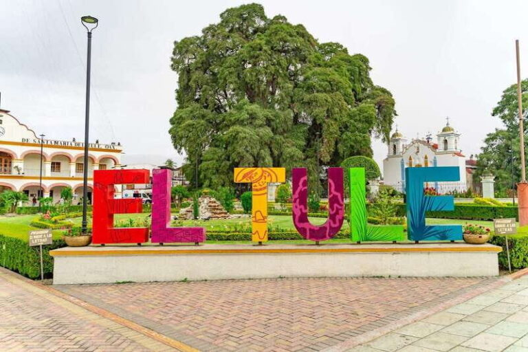 From Oaxaca: City, Mitla, and Mezcal Factory Tour - Who Will Love This Tour?